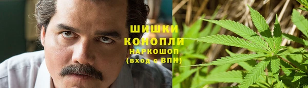 ешки Аркадак