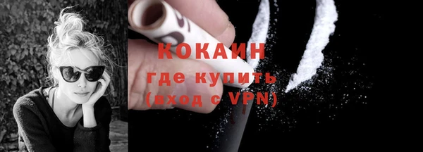 хмурый Арсеньев