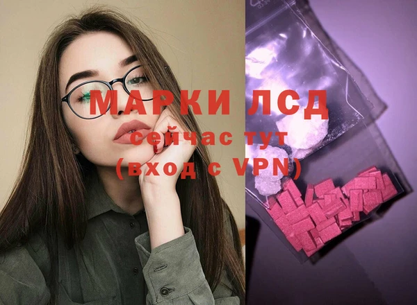 ешки Аркадак