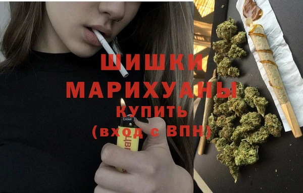 ешки Аркадак