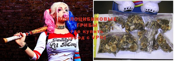 ешки Аркадак