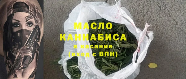 хмурый Арсеньев