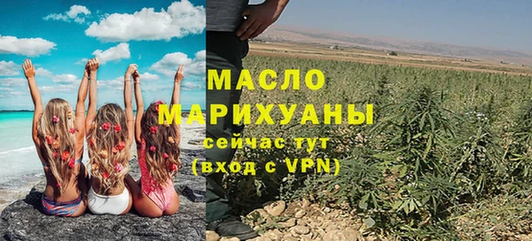 хмурый Арсеньев