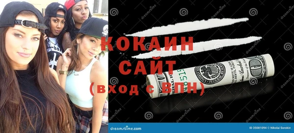 шишки Армянск