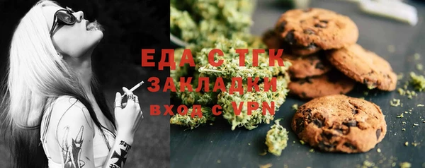хмурый Арсеньев