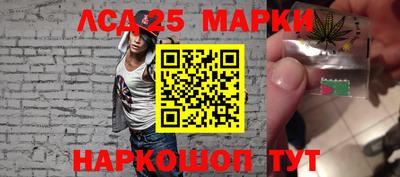 шишки Бийск