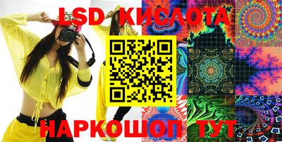 шишки Бийск