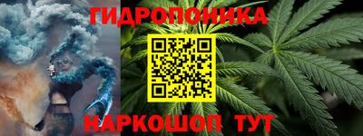 скорость Бийск