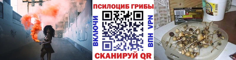 Псилоцибиновые грибы Psilocybe  купить  сайты  Волгодонск 
