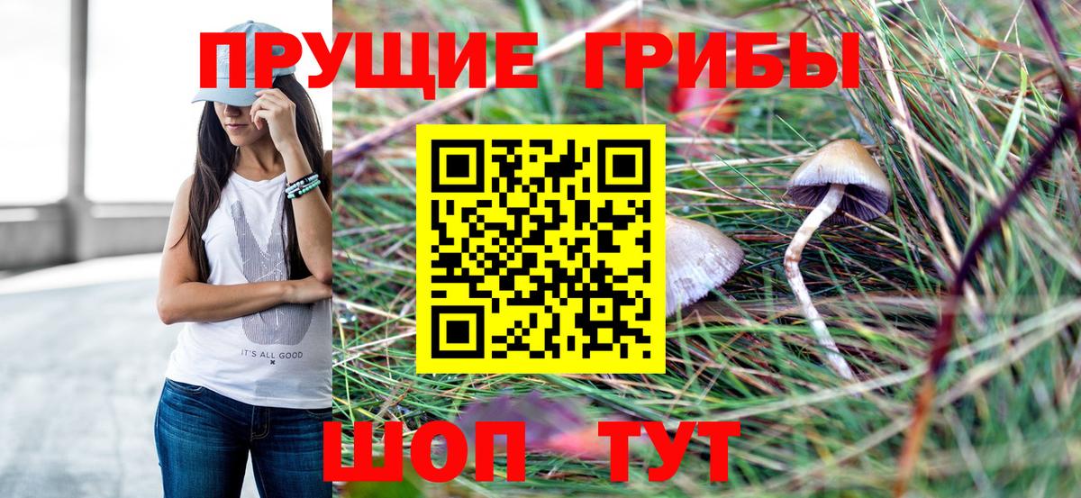 Галлюциногенные грибы GOLDEN TEACHER Волгодонск