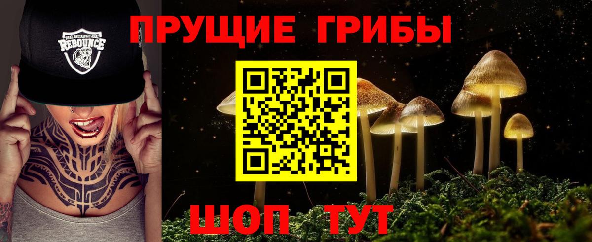 Галлюциногенные грибы Psilocybine cubensis  Галлюциногенные грибы Magic Shrooms  сколько стоит  Волгодонск 