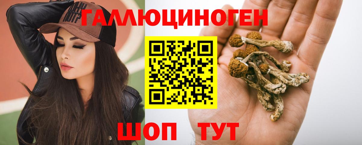 Псилоцибиновые грибы MAGIC MUSHROOMS  Псилоцибиновые грибы Cubensis  Вход с VPN  Волгодонск 