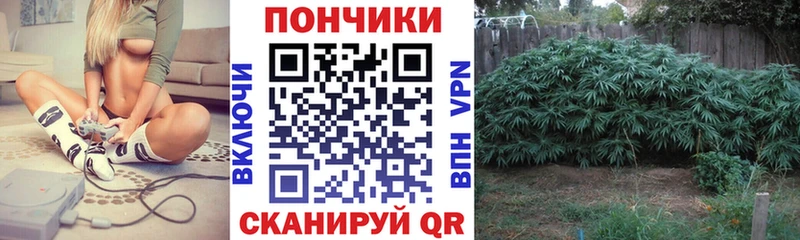 это клад  Волгодонск  Конопля гибрид 